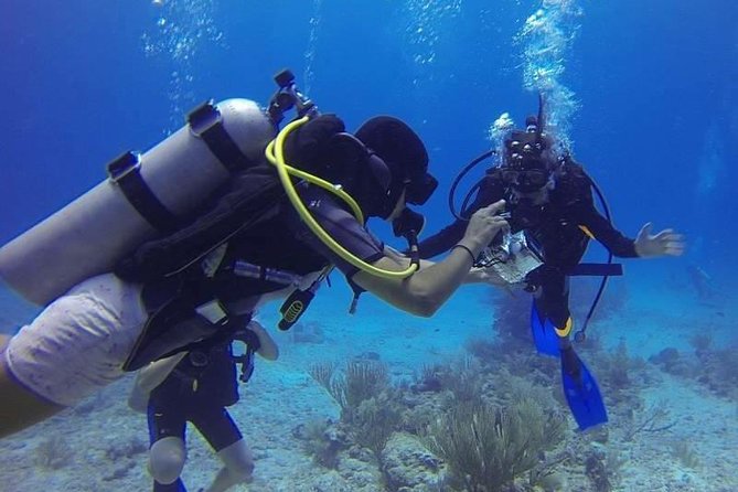 Scuba Diving Grand Island  5 Water Sports With Parasailing